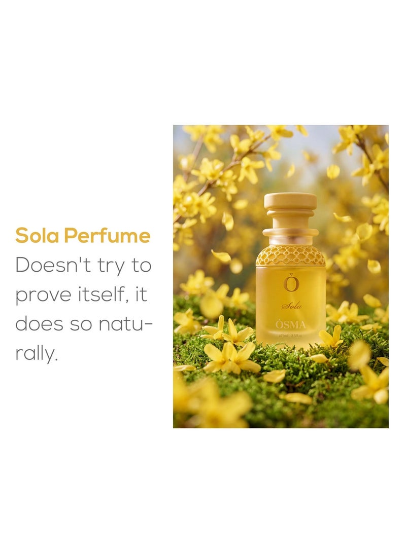 Osma Sola Perfume Oud & Amber Harmony / 75 ml - Image 3